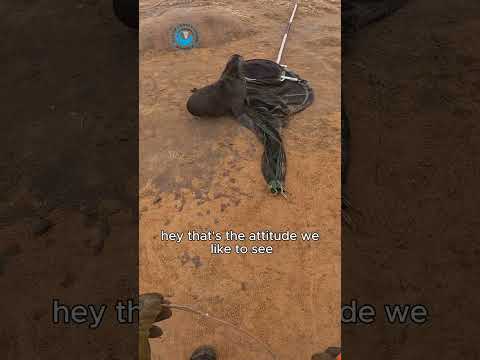 Mystery Rope Entanglement #shorts thumbnail