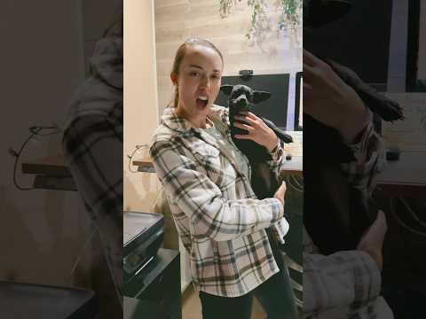 Doggy Dancing #dog #marriedlife #dogshorts #DogDance #FunnyShorts #ItsTheTimeOfTheSeason thumbnail