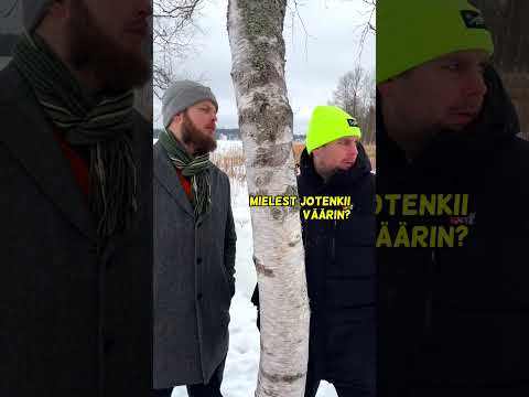 POV: Oot majava thumbnail