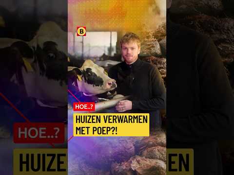 Is dit dé oplossing voor het mestoverschot? | #hoe thumbnail