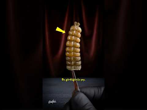 Çıngıraklı Yılan Çıngırakları Nasıl Ses Çıkarır? 🐍 thumbnail