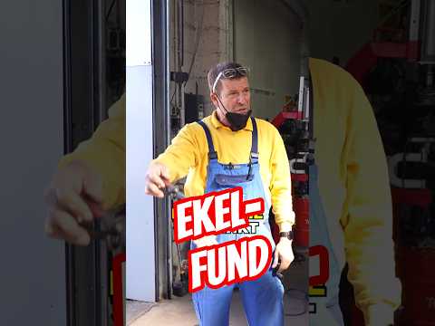 EKELHAFTER FUND! ? thumbnail
