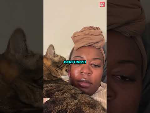 Kenapa Lidah Kucing yang Tajam Gak Terasa Sakit thumbnail