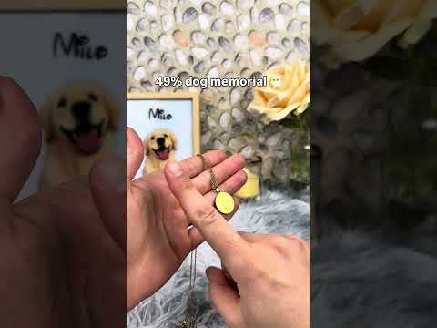 The 5th one really got me ? #pets #dogs #dogsoftiktok #giftideas #dogloss thumbnail