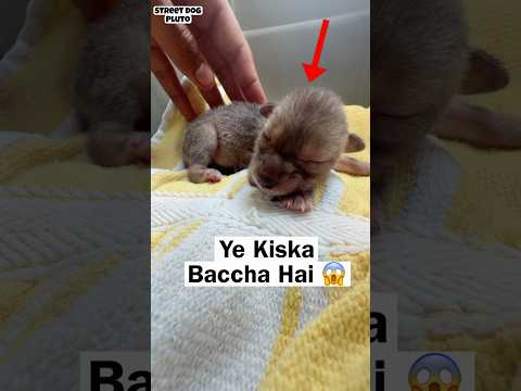 New Born Baby Kiska Hai ? thumbnail