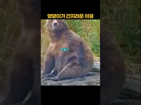 엉덩이가 간지러운 이유 thumbnail