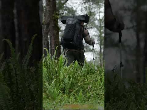 SOLO CAMPING IN A STORM WITH AN ULTRALIGHT PACK #camping #shorts #rain #outdoors #raincamping thumbnail