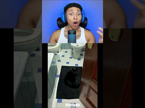 Gatos e suas camuflagens #ryansamuel thumbnail