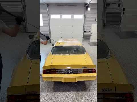 Abandoned Camaro Pressure Washing ASMR! thumbnail