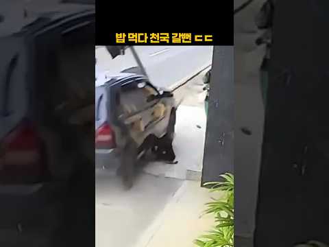 밥 먹다가 천국 갈뻔 ㄷㄷ thumbnail