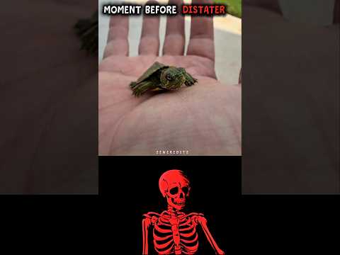 #aestheic thumbnail