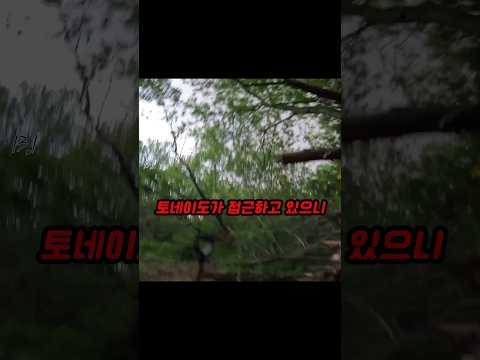 현재 위치는 숲속 한가운데 thumbnail