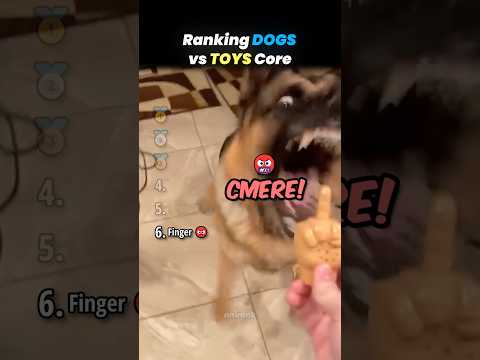 Ranking DOGS vs TOYS Core Moments!! 🐶🧸 thumbnail