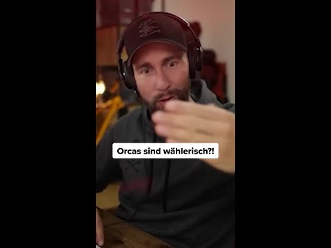 Orca Nahrung thumbnail
