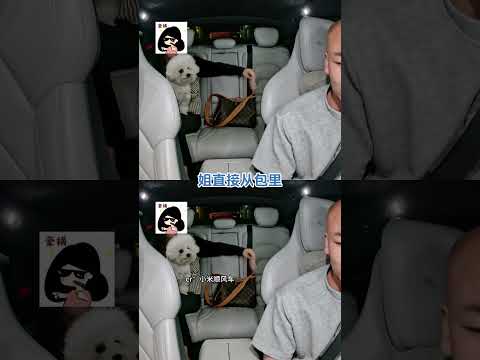 规矩是死的，钞票可以救活。#顺风车 #搞笑 #段子 #万万没想到 #忘本 #离谱 thumbnail