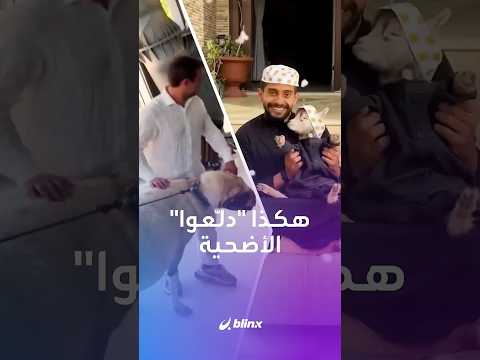 أضحية بملابس العيد وأخرى في التلفريك.. هكذا تحوّل النحر إلى "دلع وترند" thumbnail