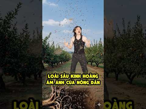 Câu chuyện kinh hoàng về loài sâu kì lạ thumbnail
