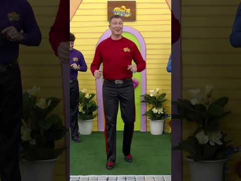 Is there anything that Simon can't do 🎶 The Wiggles thumbnail