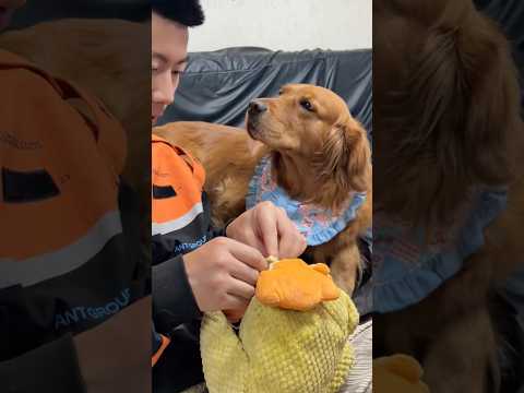 The trust in his little face is actually unreal 🥹❤️ thumbnail