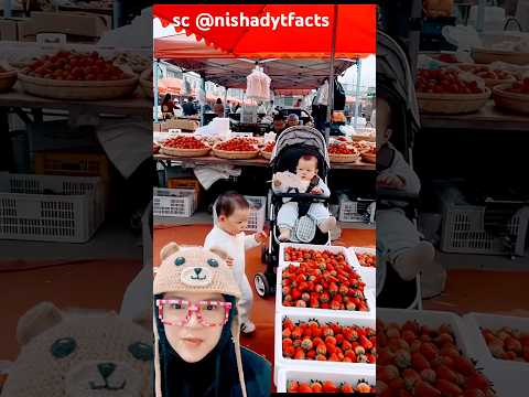 makan strobery‼️nishadytfacts thumbnail