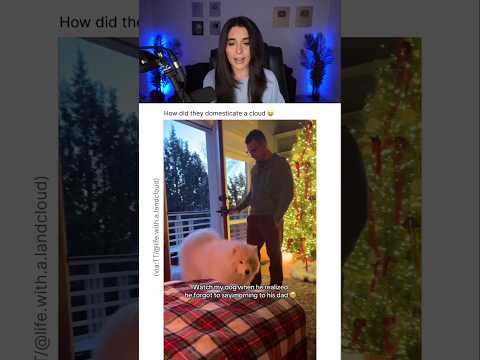 Dog Forgets To Say Good Morning To Dad ? thumbnail