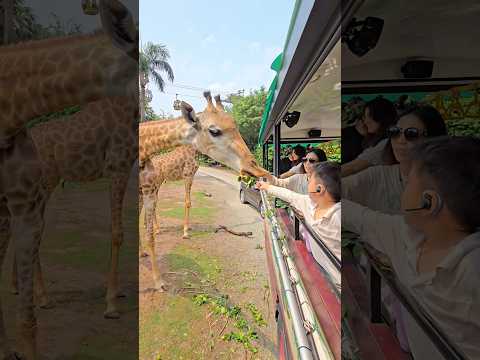 29 พฤษภาคม 2569 thumbnail