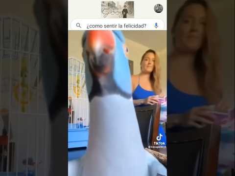 Cute Parrot ??? thumbnail