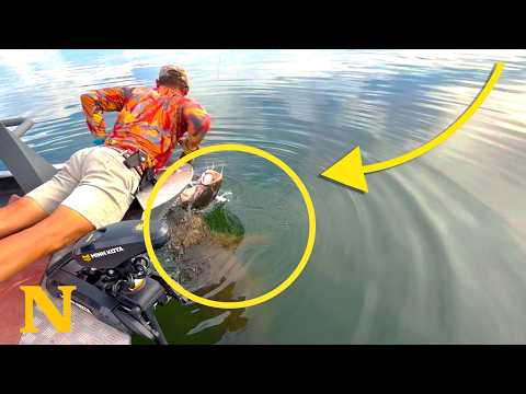 He Reaches Into the Water, Then Something Suddenly Attacks 😱 thumbnail