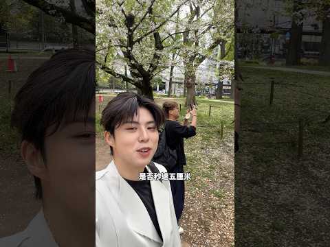 櫻花下跌的速度，真的是秒速五厘米嗎？ thumbnail