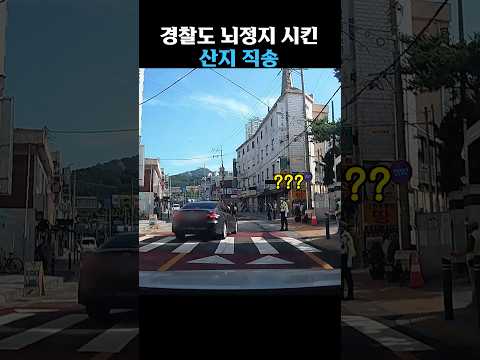 경찰도 멘탈털리게 만든 빌런 thumbnail