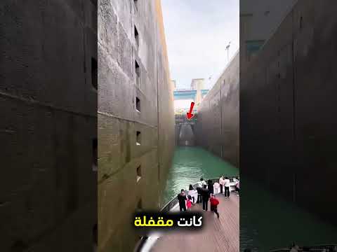 يشترون سفينة جديدة في الساحل بطريقة مميزة ❤️ #shorts thumbnail