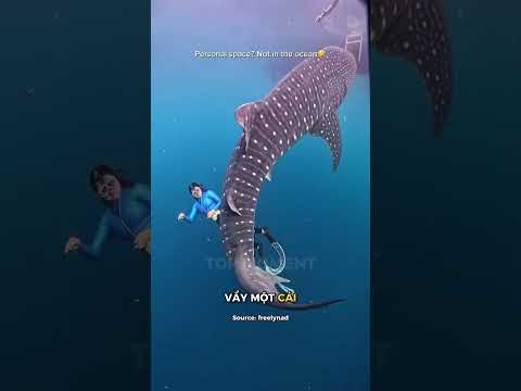 Hơi bị cáu đó nha thumbnail