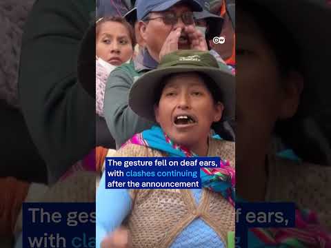 Bolivia's president to half his salary | DW News thumbnail