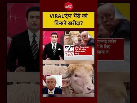 Syed Suhail | Bakrid | Eid al-Adha: Viral 'Trump’ भैंसे को किसने खरीदा?| #shorts #viral thumbnail