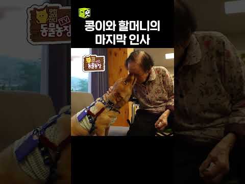 할머니가 평생 기억할게, 콩아 #달리 #DALI #TV동물농장 #shorts thumbnail