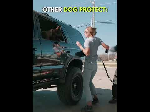 Normal Dog PROTECT Vs FINAL BOSS? thumbnail