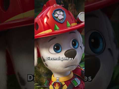 Die Fellfreunde zurück im Kino! 🐶 PAW PATROL: Der Dino Film 🦖 thumbnail