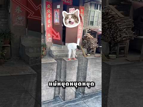 แม่ ระวังเหวที่หน้าบ้านของเรา thumbnail