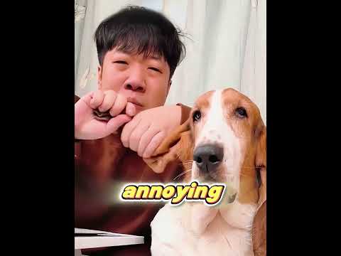 His Dog Has the Longest Ears…They Ruin Every Meal! thumbnail