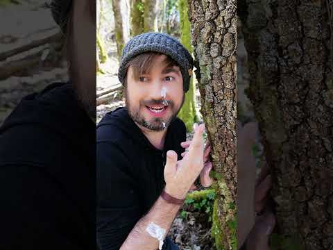 Faire découvrir la nature à nos enfants thumbnail