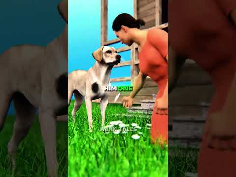 Dog Gifts A Flower ? thumbnail