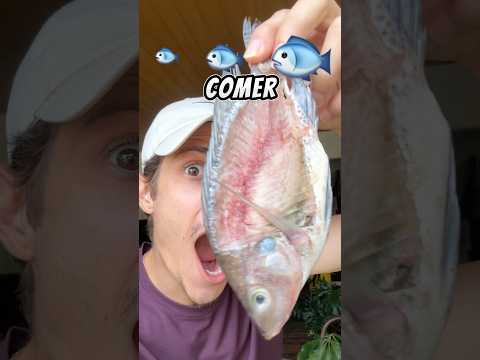 Será que os peixes do lago vão comer outro peixe?!😱 #shorts thumbnail