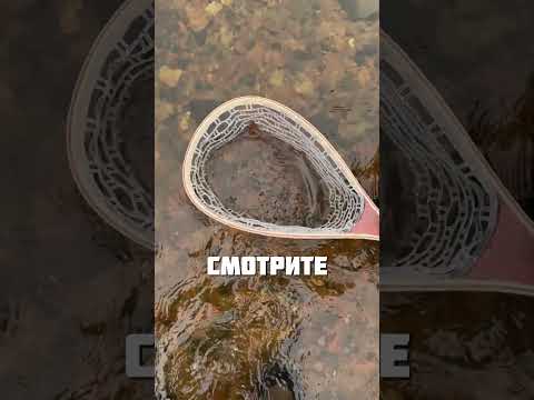 ОТЛИЧНАЯ МАСКИРОВКА thumbnail