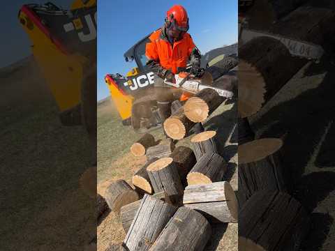 Getting firewood ready for bonfire season with the @STIHLCanada MSA 300 chainsaw thumbnail