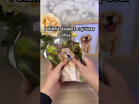 This is so cute ?❤️ #dogs #pets #dogsoftiktok #dogloss #giftsideas thumbnail