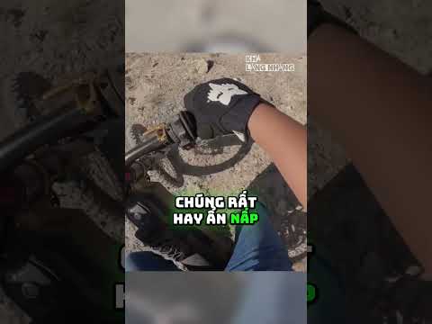 Biker Tìm Đến Hang Nutty Putty @Scoot_Ski/YT thumbnail