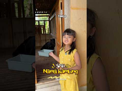 SPILL NAMA KAMBING #dramangakak thumbnail