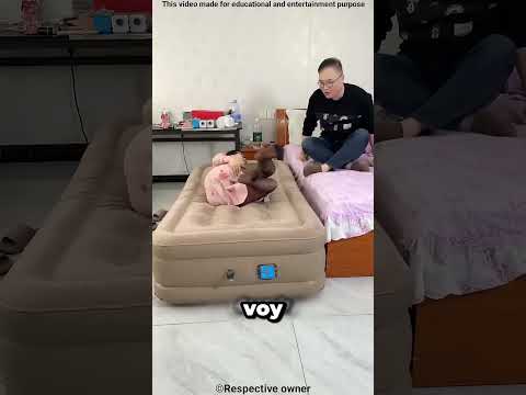 Mi Hermano Rompe Mi Cama Hinchable 😱 thumbnail