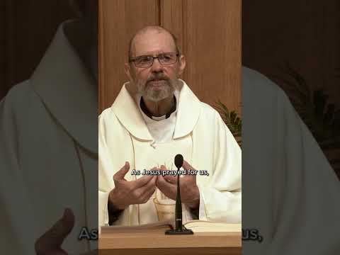 A Homily Moment with Father Henk van Meijel SJ thumbnail