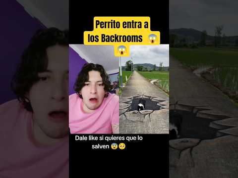 Perrito entra a los Backrooms ?? - Hey Crispin #humor thumbnail